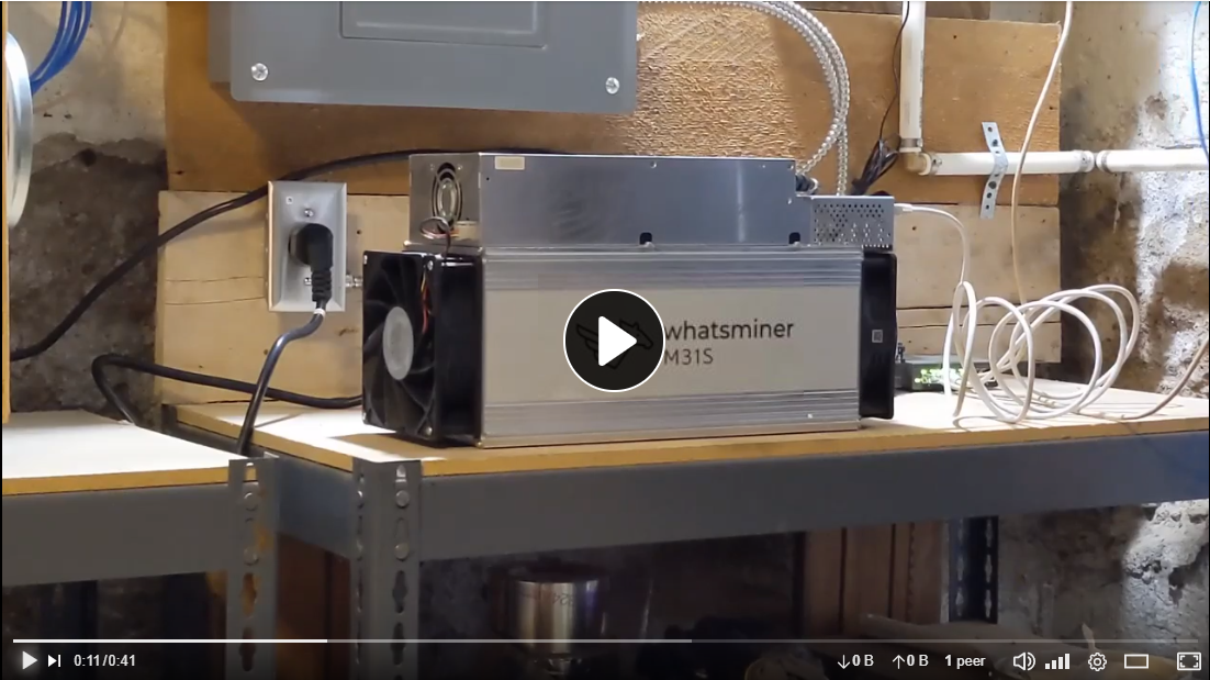 Whatsminer Startup